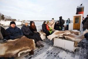 Stockholm: Winter Boat Tour with Guide