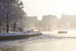 Stockholm: Winter Boat Tour with Guide