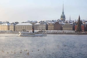 Stockholm: Winter Boat Tour with Guide