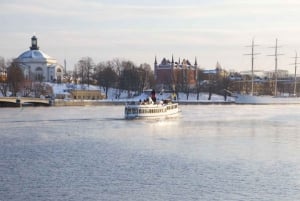 Stockholm: Winter Boat Tour with Guide