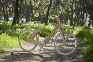 Stockholm Wooden Bike Tour