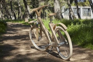 Stockholm Wooden Bike Tour