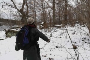 Stockholms naturreservat Nacka: 3-timers vandretur for begyndere