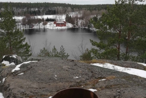 In die Wildnis – ein Sinneserlebnis in Stockholms Wäldern