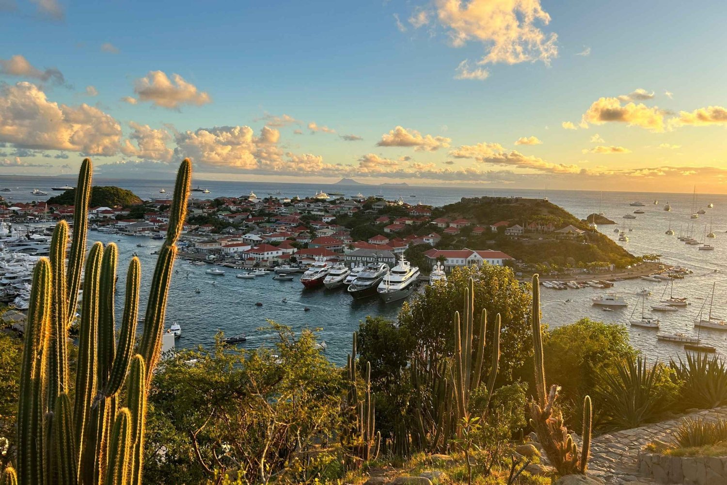 Sweden’s Caribbean Legacy: 90-Minute Walking History Tour