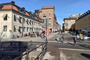 Visite de la ville d'Uppsala et de la ville de Sigtuna à 8h de Stockholm