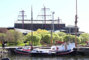 Museu Vasa e Skansen Estocolmo Tour com ingresso Fast-Track