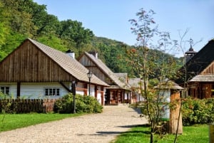 Museu Vasa e Skansen Estocolmo Tour com ingresso Fast-Track