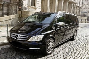 Museu Vasa e Skansen Estocolmo Tour com ingresso Fast-Track