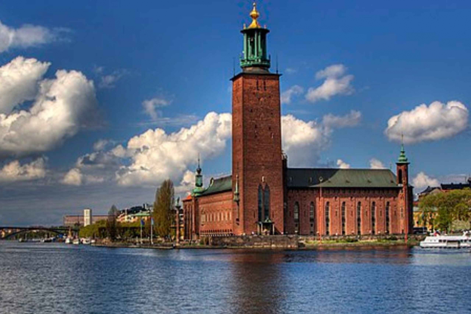 Vasa, Old Town, City Hall, Palace with Entry & Carriage Ride