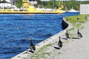 Vaxholm e Arquipélago de Estocolmo: Excursão guiada, viagem de 1 dia