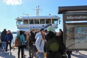 Vaxholm & Stockholm Archipelago: Guided Excursion, Day Trip