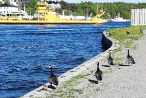 Vaxholm ja Tukholman saaristo: opastettu retki, päiväretki