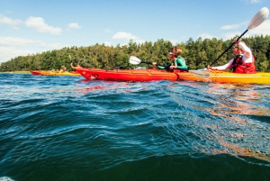 Vaxholm: Stockholm Archipelago Kayaking Tour