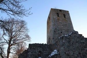 Excursion d'une journée sur l'histoire des Vikings à Sigtuna, Uppsala et dans la campagne