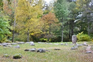 Wikinger Geschichte Halbtagestour ab Stockholm
