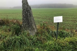 Viikinkihistorian puolipäiväinen retki Tukholmasta