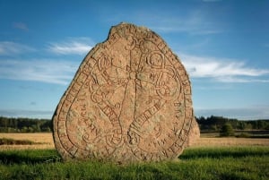 Viikinkien matka: Ruotsin menneisyyden tutkimusmatka