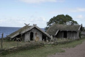 Vikingarnas resa: En upptäcktsresa genom Sveriges förflutna