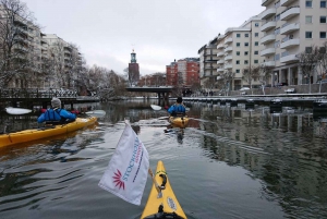 Stockholm: Winter Kayaking Tour with Lunch