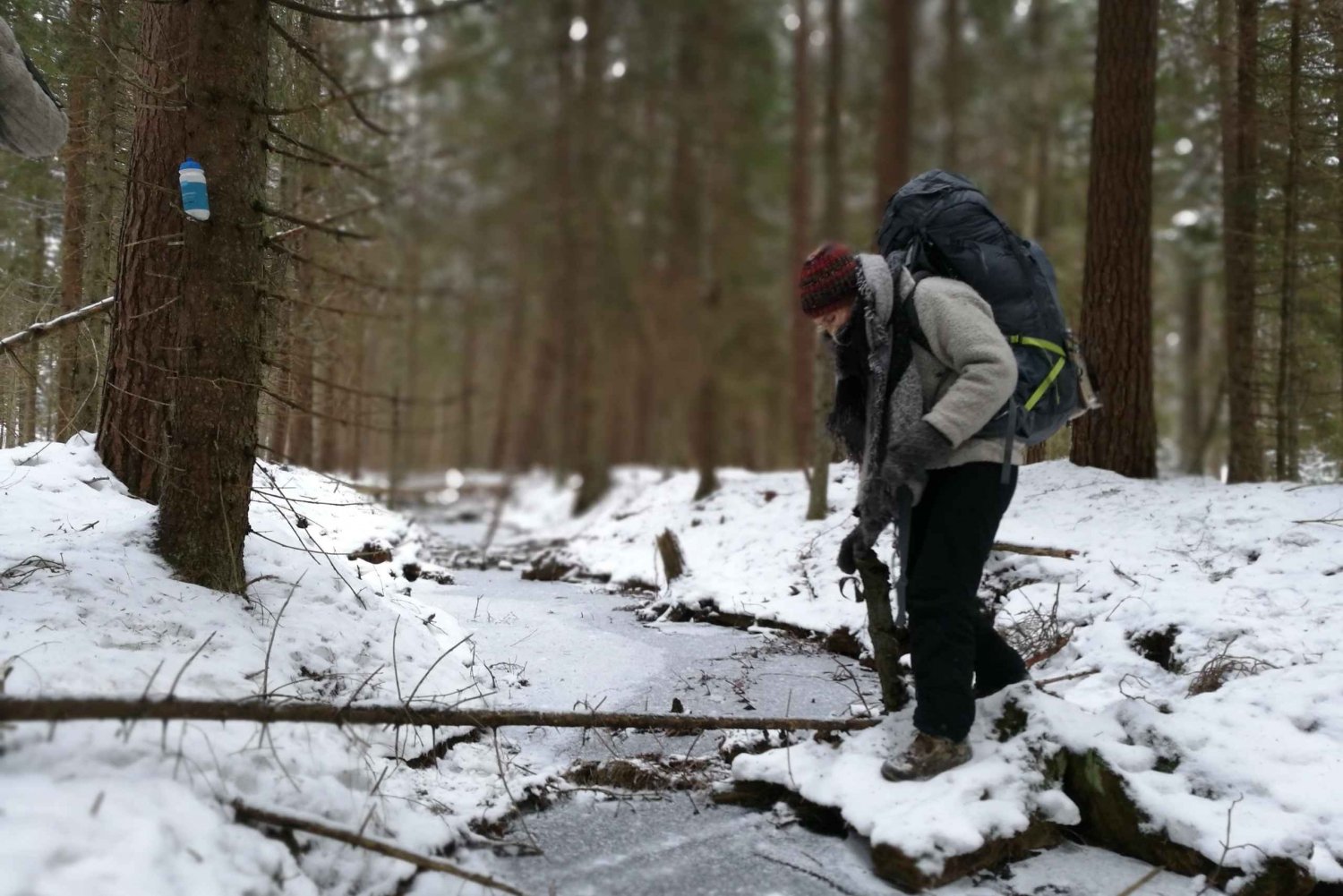 Stockholm: Winter Nature Hike with Campfire Lunch