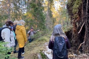 Wolf and Wildlife Tracking in Sweden