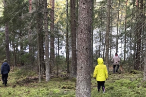Speuren naar wolven en wilde dieren in Zweden