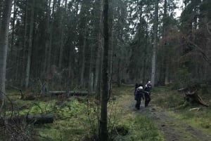 Varg- och viltspårning i Sverige