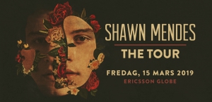 SHAWN MENDES - The Tour
