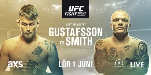 UFC FIGHT NIGHT STOCKHOLM