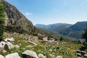 Athènes : Mythologie de Delphes, musée et visite guidée de l'Arachova