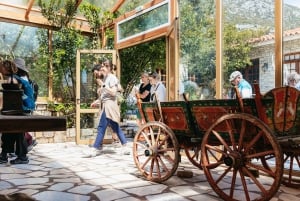 Athènes : Mythologie de Delphes, musée et visite guidée de l'Arachova