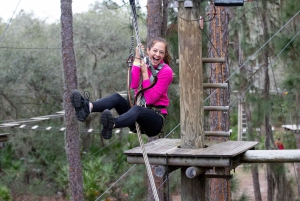 Bradenton: Adventure Course Entry Ticket
