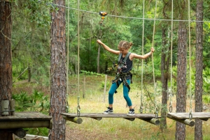 Bradenton: Adventure Course Entry Ticket