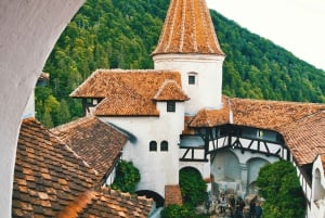 Bukarest: Draculas Schloss, Schloss Peles und die Altstadt von Brasov
