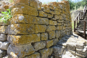 Canakkale: Full-Day Troy and Gallipoli Tour