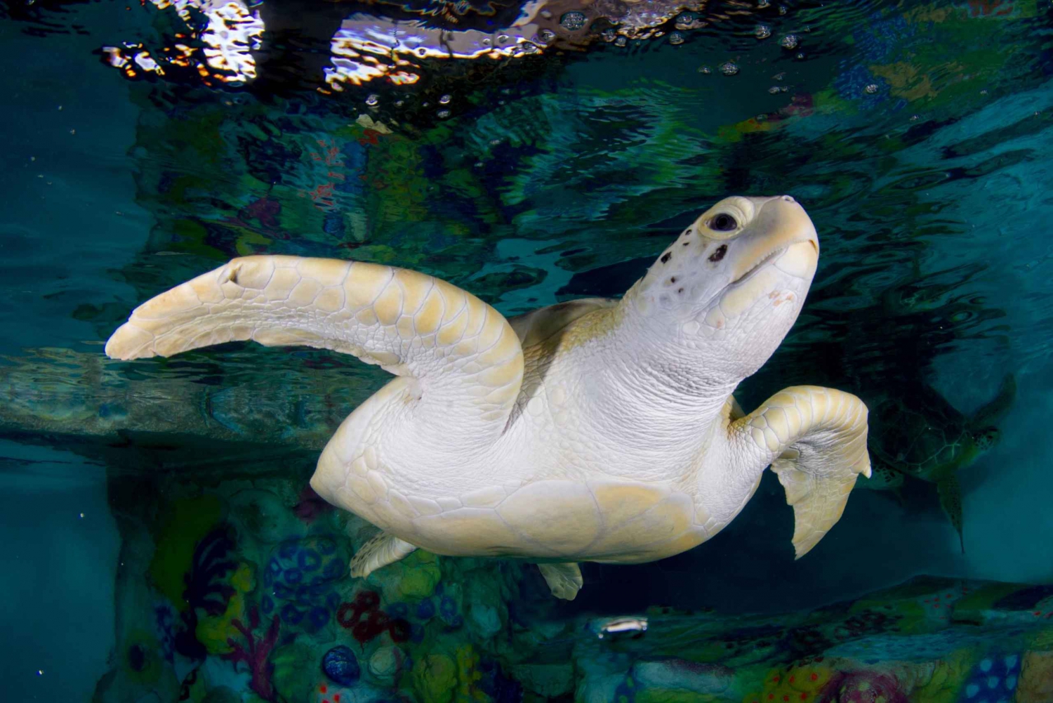 Clearwater: Eco-Certified Marine Aquarium General Admission