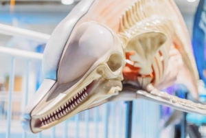 Clearwater: Eco-Certified Marine Aquarium General Admission