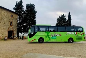 Florence: Pisa, Siena and San Gimignano Day Trip with Lunch