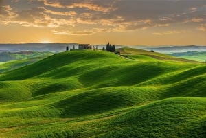 Florence: Pisa, Siena and San Gimignano Day Trip with Lunch