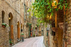 Florence: Pisa, Siena and San Gimignano Day Trip with Lunch