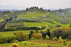 Florence: Pisa, Siena and San Gimignano Day Trip with Lunch