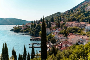 From Albania: Day Tour of Montenegro Budva, Kotor & S.Stefan