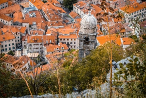 From Albania: Day Tour of Montenegro Budva, Kotor & S.Stefan