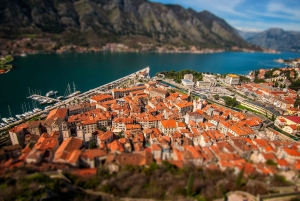 From Albania: Day Tour of Montenegro Budva, Kotor & S.Stefan