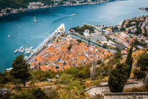 From Albania: Day Tour of Montenegro Budva, Kotor & S.Stefan