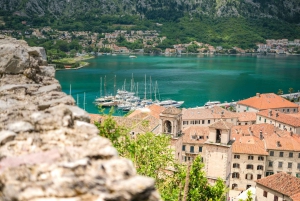 From Albania: Day Tour of Montenegro Budva, Kotor & S.Stefan