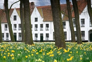 From Amsterdam: Bruges Guided Day Trip in English