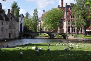 From Amsterdam: Bruges Guided Day Trip in English