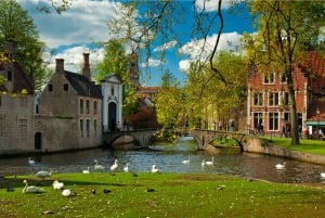 From Amsterdam: Bruges Guided Day Trip in English